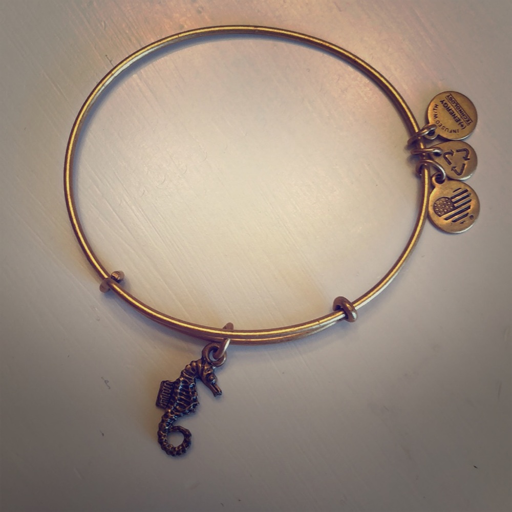 Alex and Ani Seahorse Charm